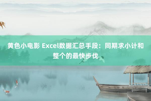 黄色小电影 Excel数据汇总手段：同期求小计和整个的最快步伐