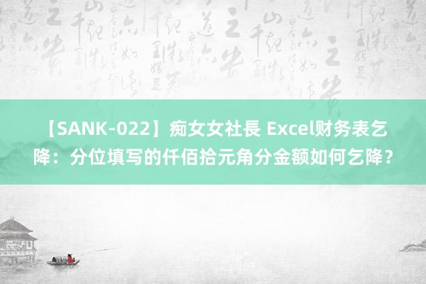 【SANK-022】痴女女社長 Excel财务表乞降：分位填写的仟佰拾元角分金额如何乞降？