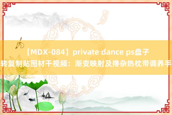 【MDX-084】private dance ps盘子旋转复制贴图材干视频：渐变映射及搀杂热枕带调养手段