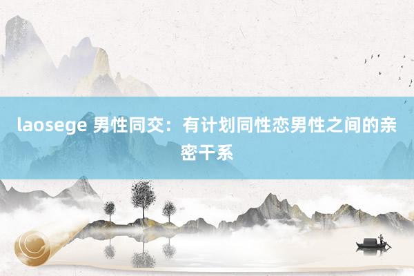 laosege 男性同交：有计划同性恋男性之间的亲密干系