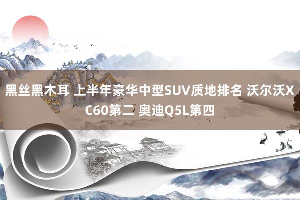 黑丝黑木耳 上半年豪华中型SUV质地排名 沃尔沃XC60第二 奥迪Q5L第四