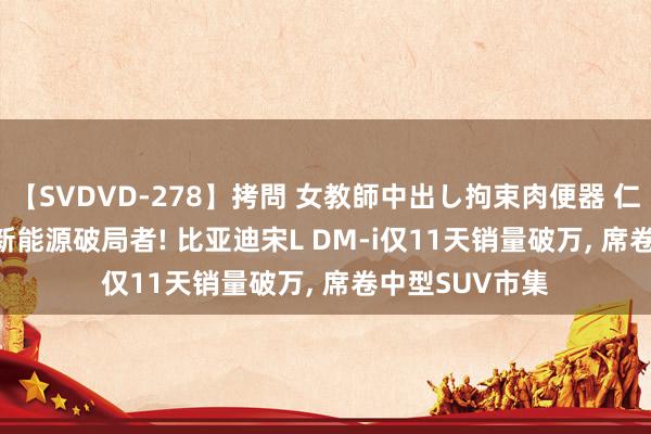 【SVDVD-278】拷問 女教師中出し拘束肉便器 仁科百華 RISA 新能源破局者! 比亚迪宋L DM-i仅11天销量破万, 席卷中型SUV市集