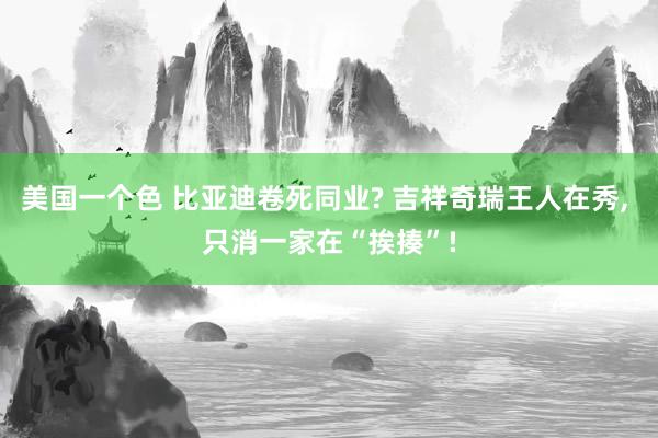 美国一个色 比亚迪卷死同业? 吉祥奇瑞王人在秀, 只消一家在“挨揍”!