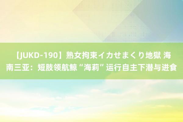 【JUKD-190】熟女拘束イカせまくり地獄 海南三亚：短肢领航鲸“海莉”运行自主下潜与进食