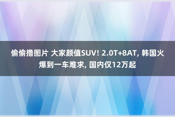 偷偷撸图片 大家颜值SUV! 2.0T+8AT, 韩国火爆到一车难求, 国内仅12万起