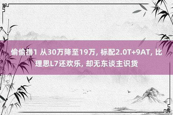 偷偷撸1 从30万降至19万, 标配2.0T+9AT, 比理思L7还欢乐, 却无东谈主识货