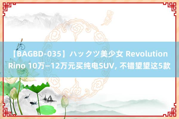 【BAGBD-035】ハックツ美少女 Revolution Rino 10万—12万元买纯电SUV, 不错望望这5款