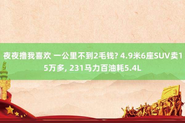 夜夜撸我喜欢 一公里不到2毛钱? 4.9米6座SUV卖15万多, 231马力百油耗5.4L