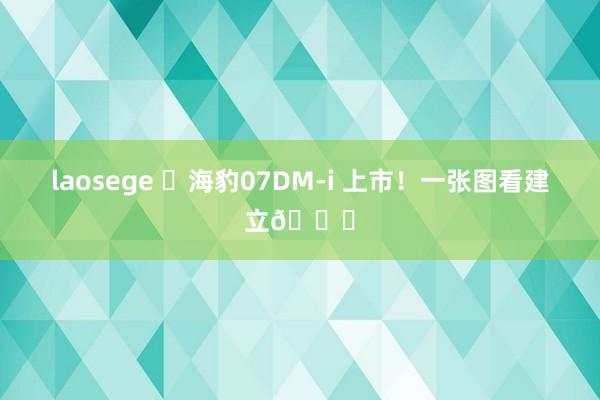 laosege ✅海豹07DM-i 上市！一张图看建立?