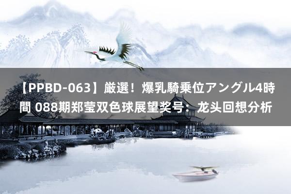 【PPBD-063】厳選！爆乳騎乗位アングル4時間 088期郑莹双色球展望奖号：龙头回想分析