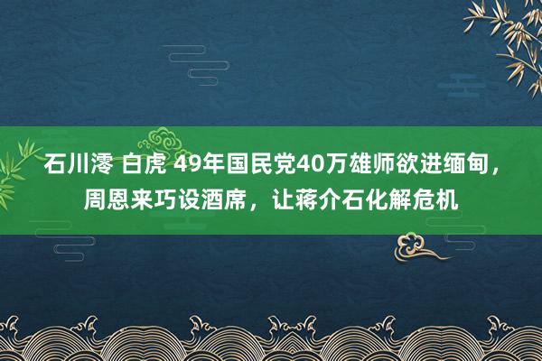 石川澪 白虎 49年国民党40万雄师欲进缅甸，周恩来巧设酒席，让蒋介石化解危机