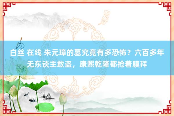 白丝 在线 朱元璋的墓究竟有多恐怖？六百多年无东谈主敢盗，康熙乾隆都抢着膜拜