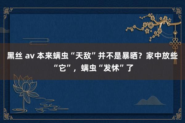 黑丝 av 本来螨虫“天敌”并不是暴晒？家中放些“它”，螨虫“发怵”了