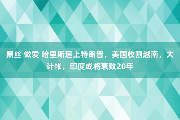 黑丝 做爱 哈里斯追上特朗普，美国收割越南，大计帐，印度或将衰败20年