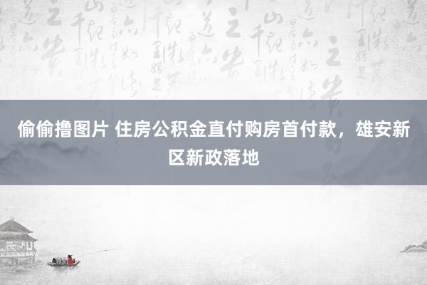 偷偷撸图片 住房公积金直付购房首付款，雄安新区新政落地