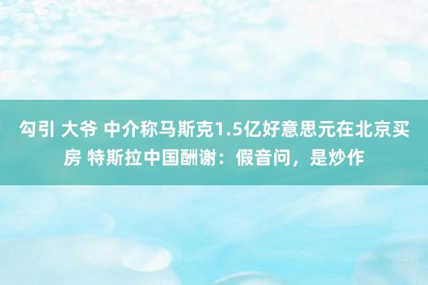 勾引 大爷 中介称马斯克1.5亿好意思元在北京买房 特斯拉中国酬谢：假音问，是炒作