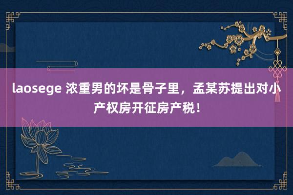 laosege 浓重男的坏是骨子里，孟某苏提出对小产权房开征房产税！