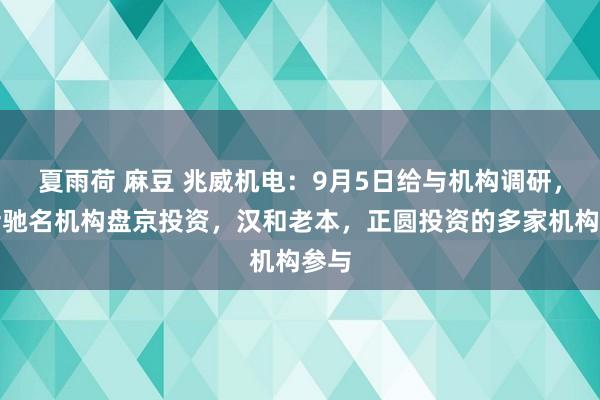 夏雨荷 麻豆 兆威机电：9月5日给与机构调研，包括驰名机构盘京投资，汉和老本，正圆投资的多家机构参与