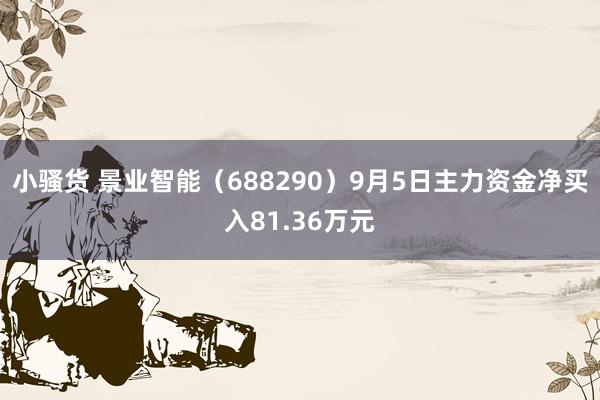 小骚货 景业智能（688290）9月5日主力资金净买入81.36万元