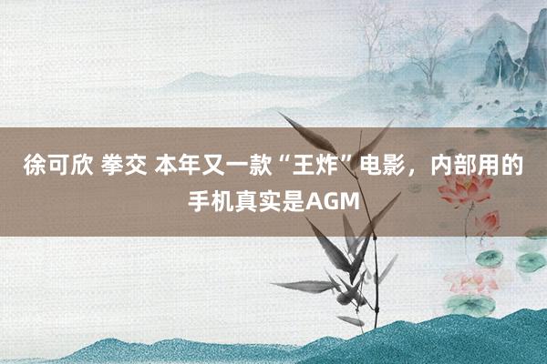 徐可欣 拳交 本年又一款“王炸”电影，内部用的手机真实是AGM