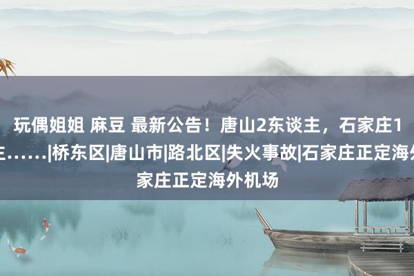 玩偶姐姐 麻豆 最新公告！唐山2东谈主，石家庄1东谈主……|桥东区|唐山市|路北区|失火事故|石家庄正定海外机场