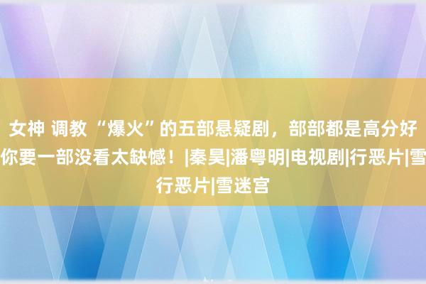 女神 调教 “爆火”的五部悬疑剧，部部都是高分好评，你要一部没看太缺憾！|秦昊|潘粤明|电视剧|行恶片|雪迷宫