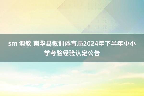 sm 调教 南华县教训体育局2024年下半年中小学考验经验认定公告