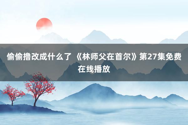 偷偷撸改成什么了 《林师父在首尔》第27集免费在线播放