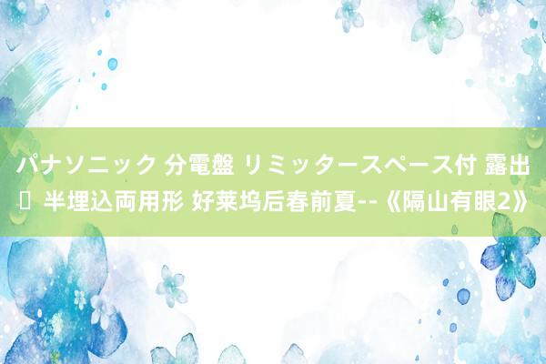 パナソニック 分電盤 リミッタースペース付 露出・半埋込両用形 好莱坞后春前夏--《隔山有眼2》