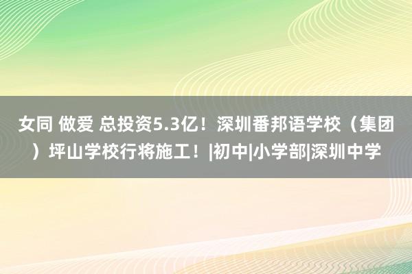 女同 做爱 总投资5.3亿！深圳番邦语学校（集团）坪山学校行将施工！|初中|小学部|深圳中学